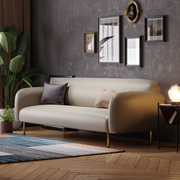 科技布防水(布防水)布艺小户型沙发，组合轻奢设计师简约北欧风格卧室单双人(单双人)