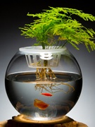 加厚水培植物玻璃瓶，圆形透明玻璃花瓶，绿萝客厅玻璃器皿摆件
