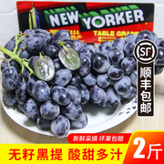 无籽黑提2斤装新鲜葡萄黑加仑进口品种提子时令水果