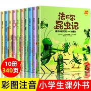 法布尔昆虫记全套10册美绘注音版 给孩子的昆虫记 小学生一年级二年级三年级课外阅读书籍幼儿版儿童版昆虫百科全书大全故事书绘本