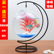 创意家居装饰悬挂办公桌面斗鱼缸摆件透明玻璃小型迷你圆形金鱼缸