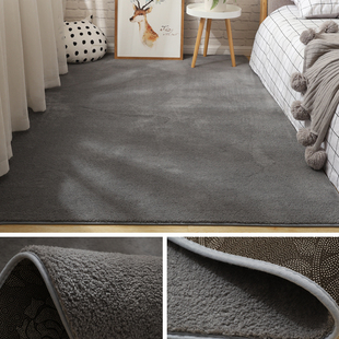 地毯卧室床边毯家用加厚房间，满铺大面积可水洗地垫客厅地毯茶几毯