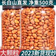 长白山松子开口特大级大颗粒2023新货野生红松籽孕妇零食东北特产