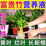 一喷就绿富贵竹营养液专用型水养观音竹叶黄家用植物生根花肥