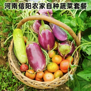 信阳特产农家自种应季有机肥蔬菜，青菜西红柿黄瓜，生鲜高端蔬菜食材