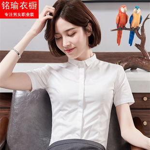 高档纯棉小领衬衫女夏短袖设计感气质职业工作服薄款纯色半袖上衣