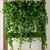 仿真长春藤假花藤条装饰遮挡挂墙绿植壁挂植物吊兰藤蔓绿叶垂吊