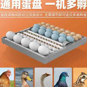 新化器全自动孵j化机小型家用孵蛋器迷你水床鸡鸭鹅孵化箱