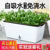家庭阳台种菜盆种菜神器，懒人花盆自动吸水长方形，塑料蔬菜种植箱