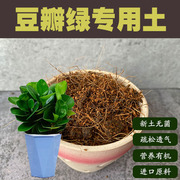 豆瓣绿专用土碧玉花卉绿植办公室盆景营养土酸性沙质泥炭土种植肥