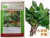 越南香菜种子多种可选  阮茜九层塔 罗勒薄荷紫苏种子 蔬菜盆栽