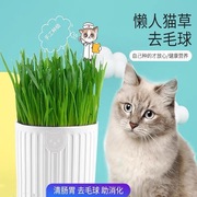 猫草种植套装猫咪零食小麦苗猫草成猫幼猫化毛球猫零食猫草