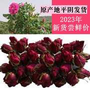 平阴玫瑰花茶 低温无硫重瓣玫瑰干花蕾250g