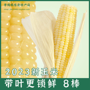 带叶锁鲜2023玉米新鲜白糯玉米东北速冻黏甜嫩带皮玉米粘苞米8棒