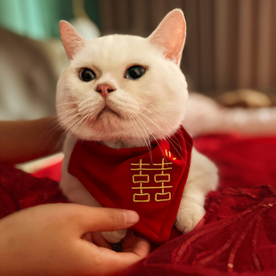 猫咪结婚装饰陪嫁宠物，喜字项圈喜庆围脖，狗狗婚礼衣服口水巾猫领结