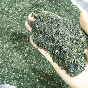 2023新茶叶信阳毛尖特级碎茶明前高山嫩芽茶末散装浓香口粮茶500g