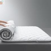 床垫软垫家用宿舍床褥子，学生单人租房专用加厚榻榻米，垫被地铺夏季