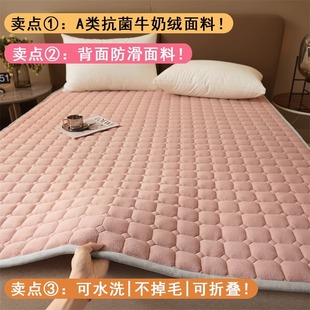 毛毯榻榻米珊瑚绒牛奶绒的床单单件保护垫宿舍单人学生冬季加绒毯