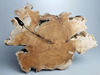 天然木根雕摆件枯木，风化木陈化料底托底座原木年轮木片居家装饰