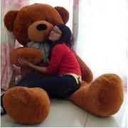 .工厂直发毛绒玩具1米8大抱熊，泰迪熊布娃娃抱抱熊1.8米大号2米1.6