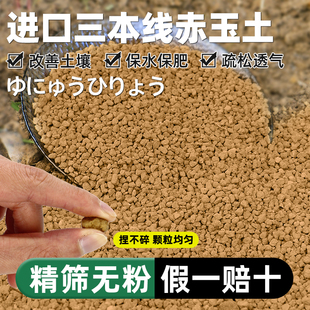 日本进口赤玉土三本线多肉颗粒，土盆景专用爬宠铺面硬质营养土