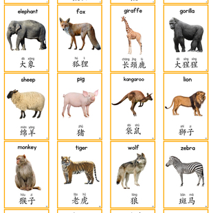 动物英文认知卡片幼儿英语识汉字教师具单词闪卡儿童早教益智玩具