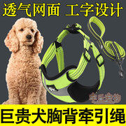 巨型贵宾犬巨贵犬专用狗狗，胸背带牵引绳，项圈遛狗绳链子大型犬用品