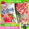 韩国进口乐天水蜜桃味硬糖，153g网红糖果韩剧流行青葡萄糖同款