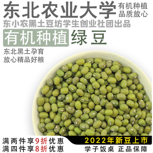 学子饭桌东北非转基因新鲜1斤发豆芽汤粥材料大粒新 有机绿豆