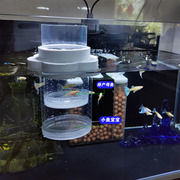 孔雀鱼繁殖盒鱼缸隔离盒凤尾玛丽幼鱼母鱼产房，小鱼苗漂浮孵化神器