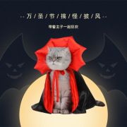 宠物万圣节披风斗篷猫咪服装披肩，女巫狗狗衣服，冬季变身装装扮用品