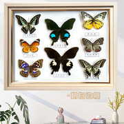 承颜真蝴蝶昆虫标本相框立体原木色长H方形12寸画框现代简约工