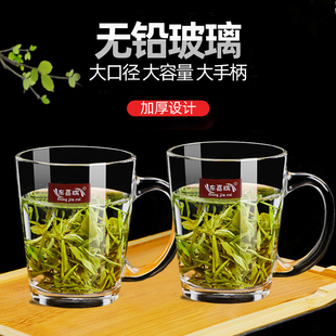 带把家用泡茶杯玻璃杯子，套装无色透明啤酒杯，加厚时尚无铅玻璃茶杯