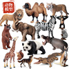仿真野生动物模型套装儿童动物园玩具大象老虎狮子犀牛河马熊猫鹿