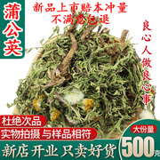 干蒲公英野生蒲公英茶整棵带根带花整个特级天然婆婆丁纯500g