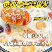 银耳羹冲泡即食桃胶雪燕皂角米桂圆肉枸杞红枣组合非冻干女生气血