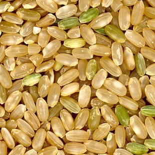 慢米糙米 自然农法大米粳米2023新米无农药化肥生态5斤袋装