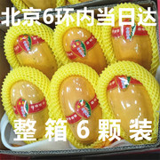 海南红心木瓜新鲜水果整箱约9斤牛奶木瓜5-7个北京