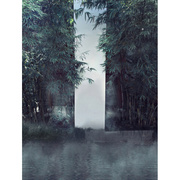 影楼摄影盘子主题古装竹子竹林，拍照背景中国风儿童背景布pz-1011