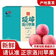 陕西洛川苹果延安新鲜红富士，水果16枚大果精美包装整箱
