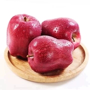甘肃天水花牛苹果10斤新鲜水果整箱糖心当季红蛇粉面苹果