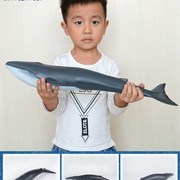 大号仿真海洋动物海豚玩具鲸鱼模型软胶充棉塑R胶软体柔软耐摔玩