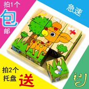 木质六面画9粒拼图，儿童积木宝宝幼儿，益智玩具男孩女童3-4-5-6岁