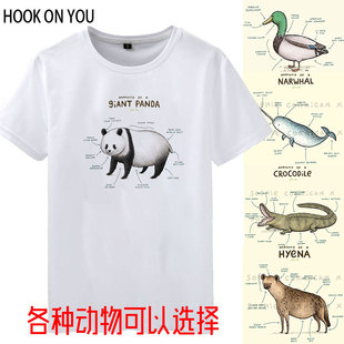 动物解析创意图案熊猫 猩猩 恐龙  犀牛 鸵鸟欧美风格解剖短袖T恤