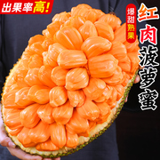 越南红肉菠萝蜜18斤应季树上熟新鲜水果，一整个红心波罗蜜整箱