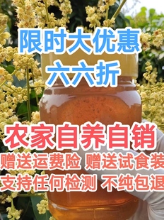 自养自销蜂蜜中蜂蜜土蜂蜜农家，蜜百花蜜纯天然孕妇，老人小孩都适合