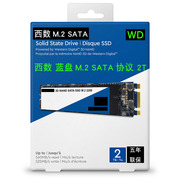 wd西部数据西数蓝盘sata1tm.2sata协议2t2tb固态硬盘blue