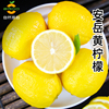 四川安岳黄柠檬(黄柠檬)新鲜水果3斤大果整箱，当季薄皮柠檬奶茶店专用