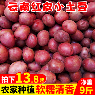 新鲜土豆云南红皮小土豆9斤装蔬菜农家自种黄心马铃薯洋芋10