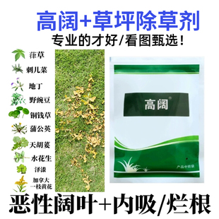 高阔套装阔叶净禾本科草坪，小飞蓬刺儿菜蒲公英，铜钱草水花生除草剂